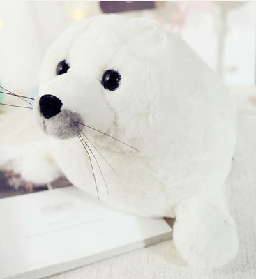 baby seal cuddly toy