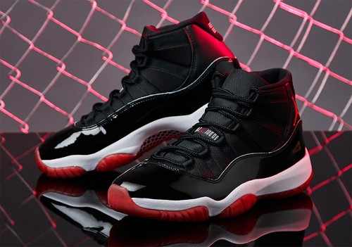 ds bred 11