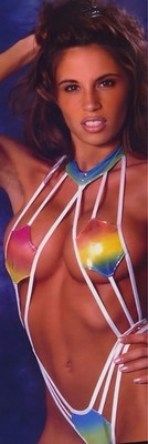 WWE ECW GIANT 2 X6  VINYL BANNER - FRANCINE