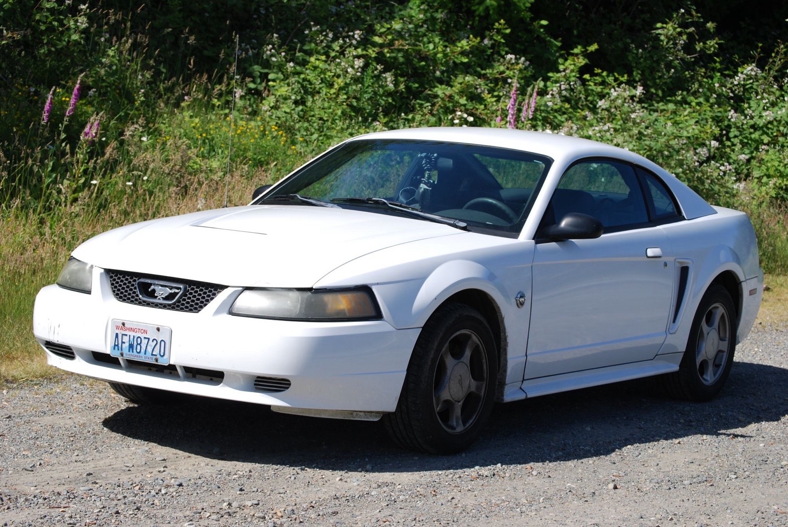 2004 Ford Mustang