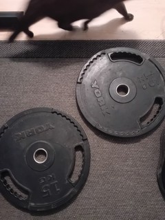 2x york olympic weight plates
