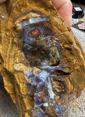 Boulder Opal Rough On Matrix- Outstanding Specimen, Over 2 Kilos, HUGE