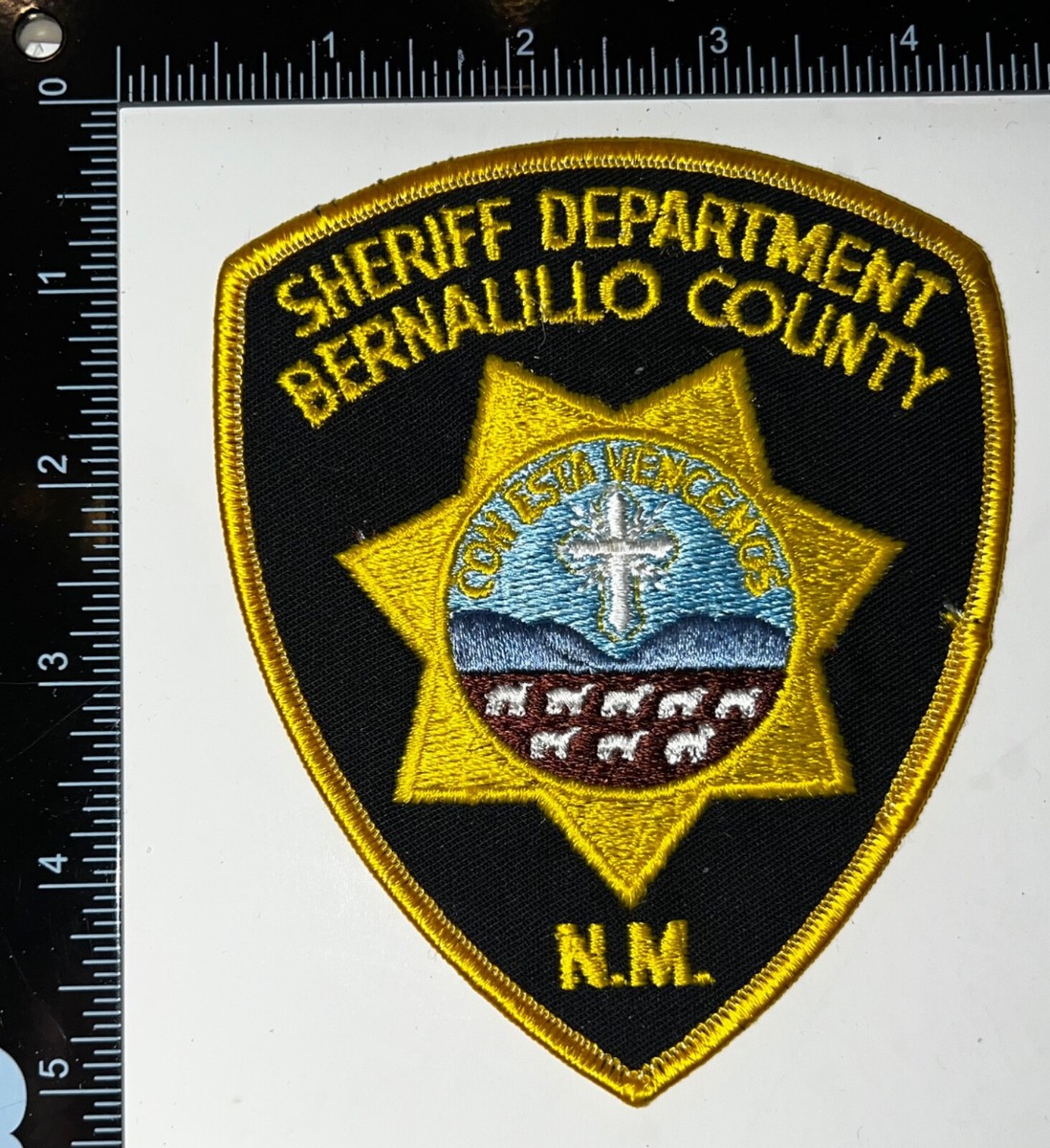 VINTAGE OBSOLETE Bernalillo County NM New Mexico Sheriff