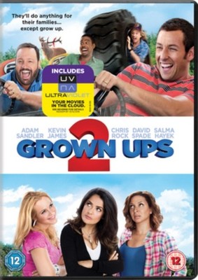 Grown Ups 2 DVD 2013 - DVD - G3z