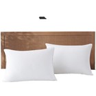 Cotton 100% Down Fill Bedding