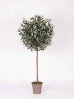 Artplants Kunst Olivenbaum Milino, Naturstamm, Mit FrüChten, 150Cm