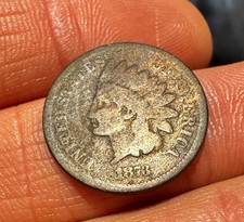  on The Hot Collector
