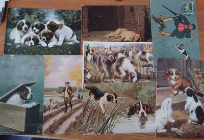 8 x Hunde Postkarten, Kunst, Hunde, Jagd, Hasen 