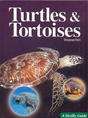 Turtles and Tortoises (A Firefly Guide) by Vincenzo Ferri