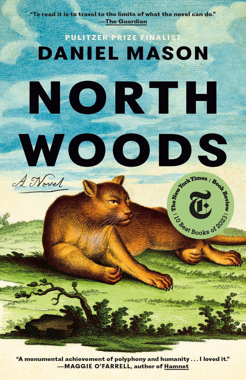 North Woods Daniel Mason