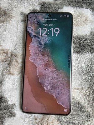 VIVO X200 Pro 5G Titanium Grey 1TB 16 GB RAM (China Rom)
