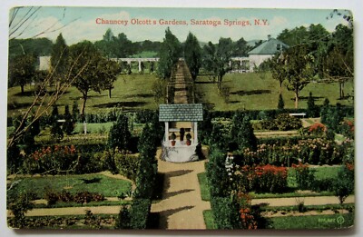 Saratoga Springs Chauncey Olcott Gardens New York Postcard 1908 