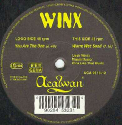 Winx* - You Are The One 12'' Vinyl Schallplatte 98279