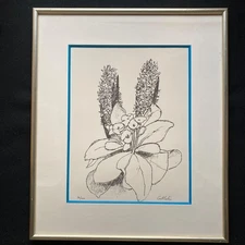 Katrin Flower Lithograph Hyacinths & Primroses 20/100 40x31cm Art Print