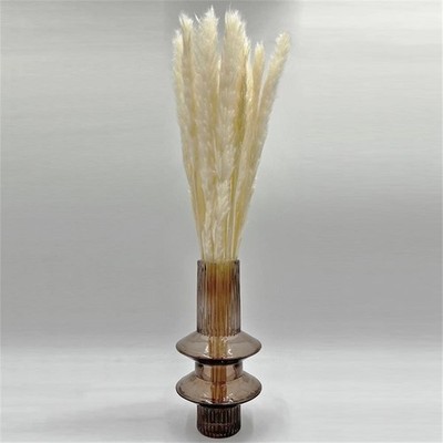 Pemberly Row Bundle of 4 Preserved Flowers Small Pampass Grass 20'' Long in White