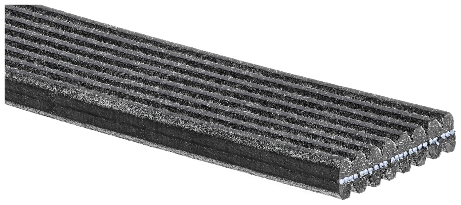 Gates 8DPK1445 V-Ribbed Belt - Image 11
