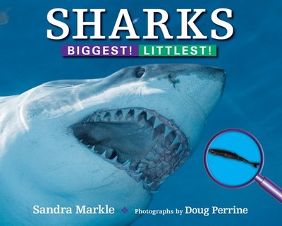 Sharks: Biggest! Littlest!, Markle, Sandra, New Book