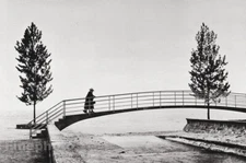 1959 Vintage JEANLOUP SIEFF Bridge Trees Landscape Switzerland Photo Gravure Art