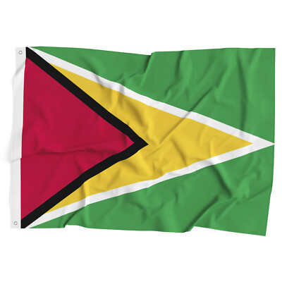 3x5 ft Guyana Flag House Flag Guyanese Flag Outdoor Banner Polyester
