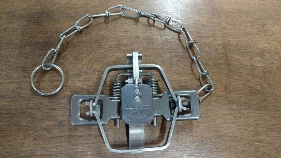 Bridger #1 3/4 Offset Coilspring Traps 2-coiled Fox
