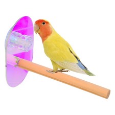 Window Perch Shelf Parrot Suction Cup Bird Stand Stands for Parrots Toys