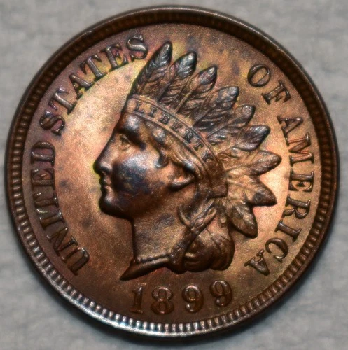 Brilliant Uncirculated 1899 Indian Head Cent, Frosty, Red-Brown specimen.