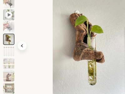 lass Test Tube Propagation Vase: 45ml with O-Ring Hang