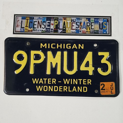 #ad MICHIGAN LICENSE PLATE 🔥FREE📬🔥 9PMU43 Winter Water Wonderland Tag $19.99