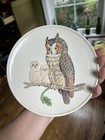 Goebel Mothers Series Owl Family Plate 1979 - 5th Edition - W. Germany -BOX — photo 6