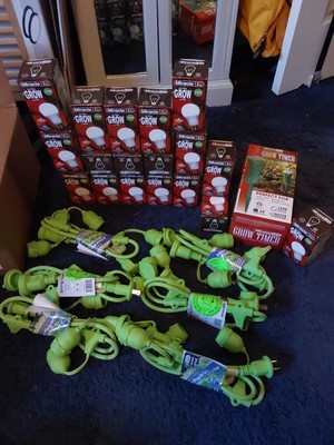 Miracle LED 605154 Green 4 Socket Corded Electric LED String Light Set Of 6