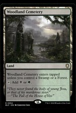 Woodland Cemetery #354 MTG Bloomburrow NM X1