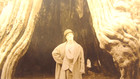 Vintage Stanley Park Vancouver B.C Photo — photo 2