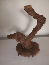 Wood Sculpture, Driftwood Reptile Terrarium, 11" Tall, On A Wooden Stand