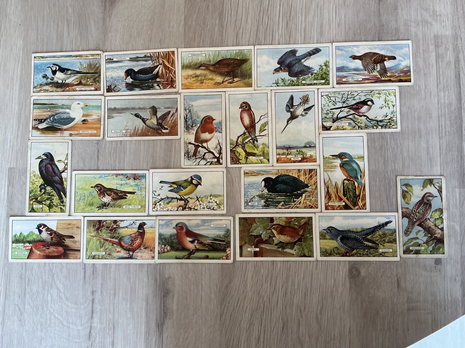 Gallahers Cigarette Cards: “British Birds” 1937 - 22/48 cards - 38x63mm