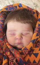 19in Weighted Reborn Doll Realistic Newborn Boy Girl Hand-Rooted Mohair Toy Gift