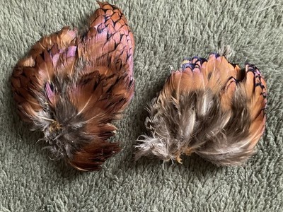 Ring Neck Pheasant Feathers / RED for crafting. Patches on skin. Natural color.