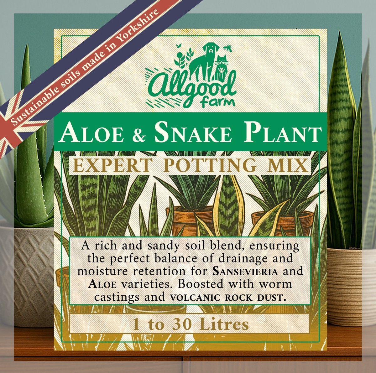 Aloe saudiarabica 子苗 Aloe & Snake Plant Expert Soil Mix | Sansevieria | Aloe Vera | 1L