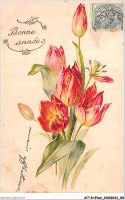 AITP1-FLEUR-0098 - Bonne Année - Lys Roses