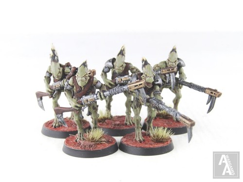 T'au Empire: Kroot Carnivores main image 0