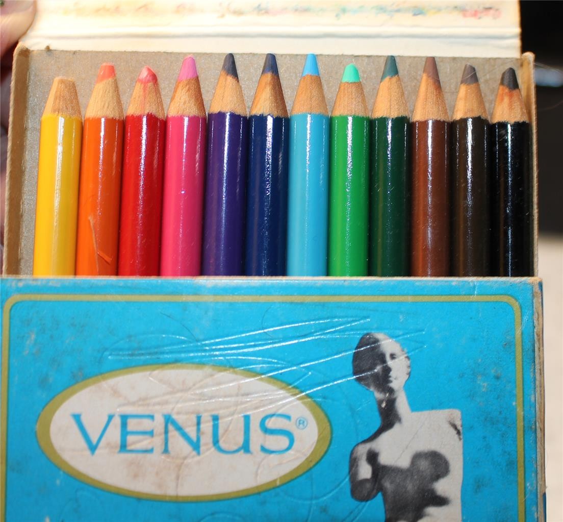 Vintage Venus Paradise Esterbrook Corp 12 Colored Pencils Unused