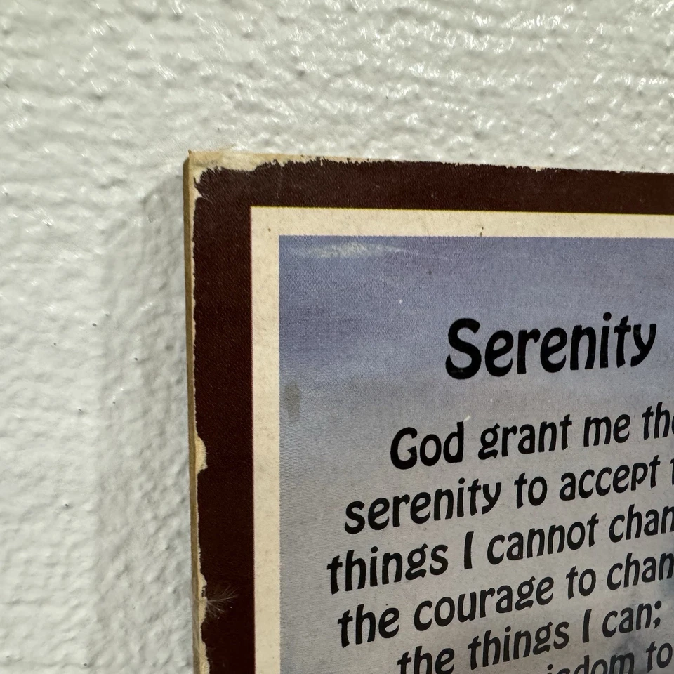 Impresión de arte de pared enmarcada de águila calva oración serenidad de colección 1982 STAPCO Foto 3 de 4