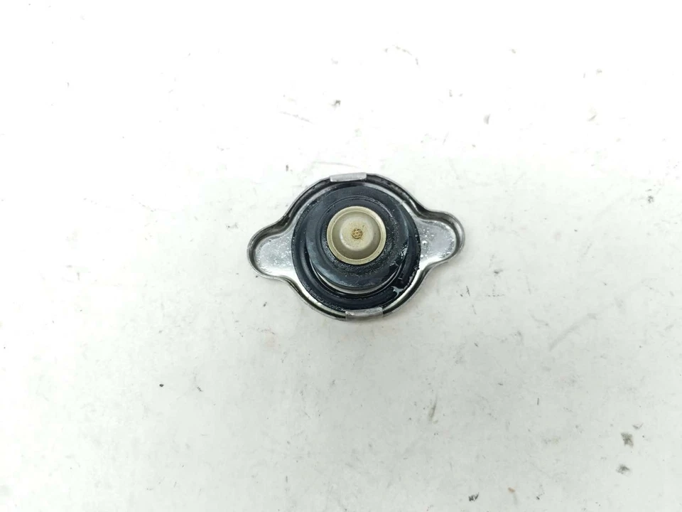 Tapa radiador 14 Erik Buell Racing EBR 1190 SX Foto 4 de 4