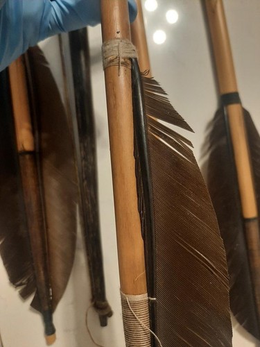 Native American Style Feather Fletched Arrows/Spears Lot, Stone Points