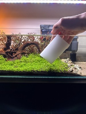   10 Algenpads für Aquarium Aquarien zum Durchtrennen von Algen  
