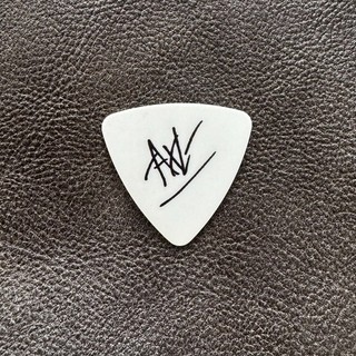 Axl Rose 2025 Guns N Roses Guitar Pick