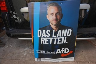 Original AfD Politik Wahlplakat mit Ulrich Siegmund „Alles ist möglich“ 83 x59cm