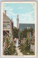 Hollyhock Lane - Provincetown Mass Cape Cod street view flowers nice