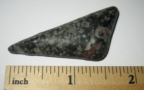 PIETRA FOSSILE MARMO CRINOIDE NATURALE CADUTO 2" DAL FONDO DELL'OCEANO ~ 11g *24 - Foto 1 di 2