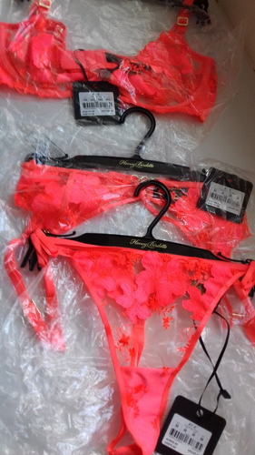 HONEY BIRDETTE SOLD OUT RUE PINK BRA 36C & MEDIUM SUSPENDER & THONG BNWT - Picture 10 of 13