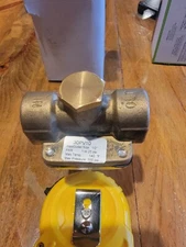 Zoro Select 30Pv10 Pressure Regulator,Brass,300 Psi